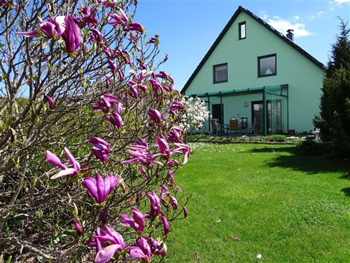 Ferielejlighed - 2 personer -  - Binz - 18609