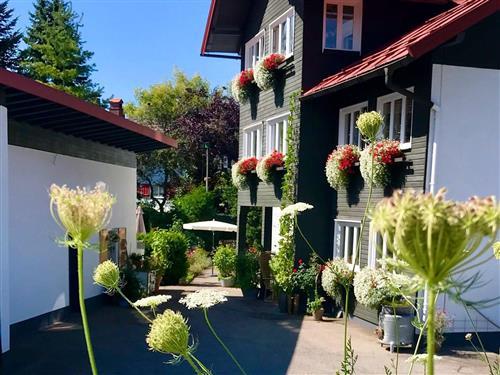 Ferienhaus - 4 Personen -  - Arnikaweg - 87534 - Oberstaufen