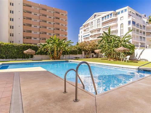 Ferielejlighed - 4 personer -  - c/ Alberto Morgenstern - 29640 - Fuengirola