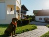 Bild 19