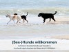 Billede 4