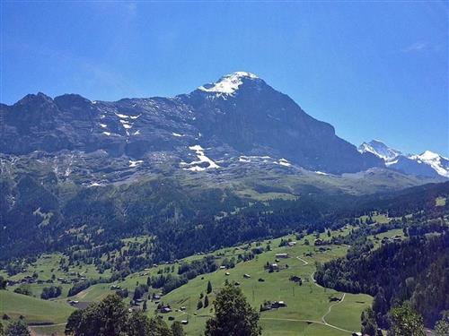 Holiday apartment - 4 persons -  - Grindelwald - 3818