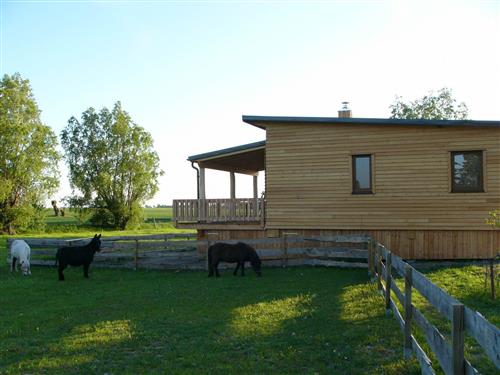 Ferienhaus - 4 Personen -  - Parkstraße - 18317 - Saal-Hessenburg