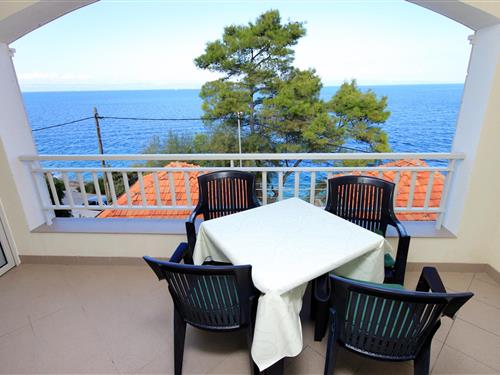 Holiday Home/Apartment - 3 persons -  - Prigradica - 20271 - Prigradica