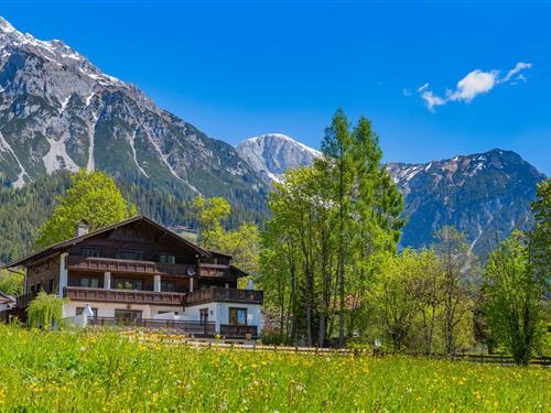 Ferieleilighet - 4 personer -  - Ramsau - 8972 - Ramsau