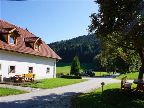 Bauernhof - 6 persons -  - Pichl - 4575 - Roßleithen