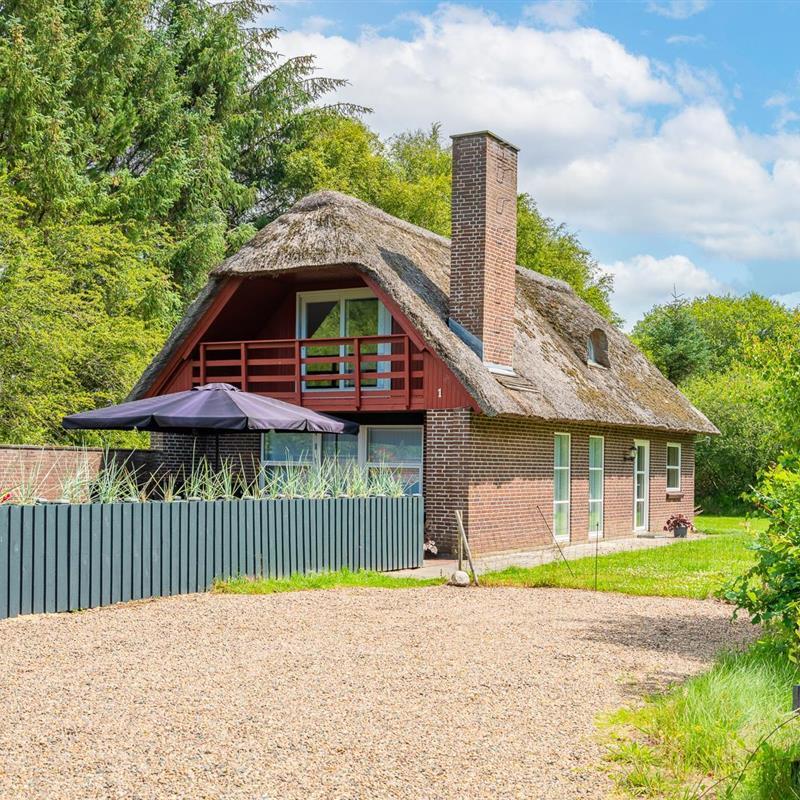 Ferienhaus - 8 Personen -  - Engvejen - Houstrup - 6830 - Nr. Nebel