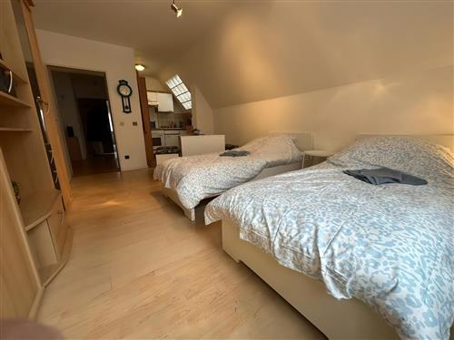 Ferieleilighet - 4 personer -  - Schüttorfer Straße - 48455 - Bad Bentheim