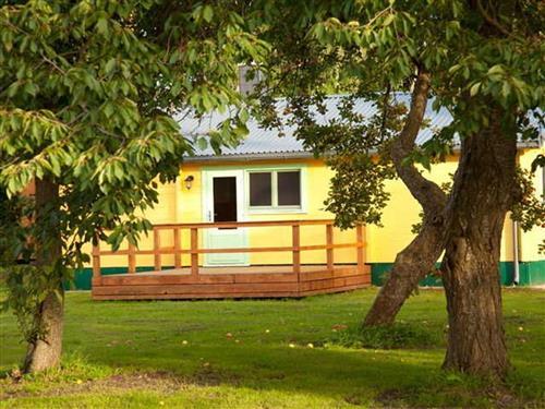 Holiday home - 4 persons -  - Sauna, Terrasse, Boddenblick - 18317 - Saal / Neuendorf Heide