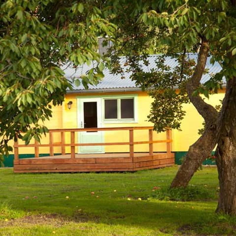 Sommerhus - 4 personer -  - Sauna, Terrasse, Boddenblick - 18317 - Saal / Neuendorf Heide