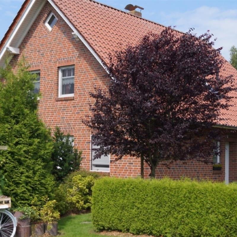 Ferielejlighed - 4 personer -  - Ülkeweg - 26629 - Großefehn