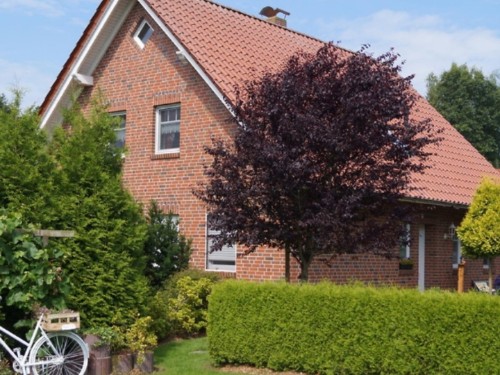 Ferielejlighed - 4 personer -  - Ülkeweg - 26629 - Großefehn