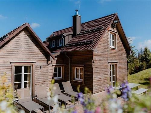 Feriehus / leilighet - 7 personer -  - 38667 - Torfhaus