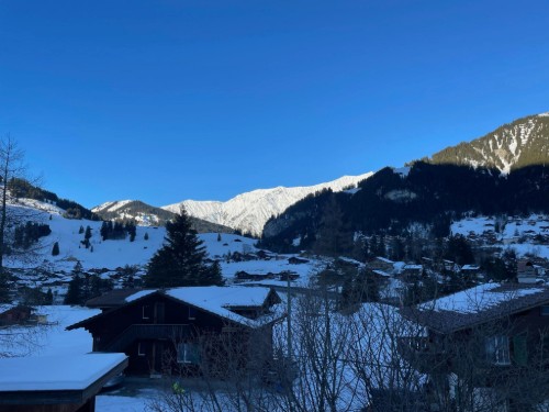 Holiday apartment - 5 persons -  - 3715 - Adelboden