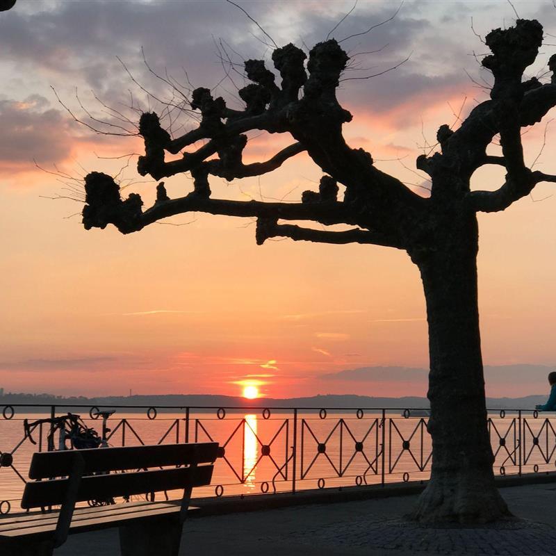  - 2 personer -  - Seepromenade - 88709 - Meersburg