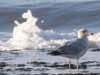 Bild 19