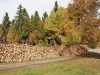 Bild 25
