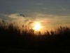 Bild 22
