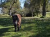 Billede 7