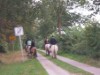 Billede 12