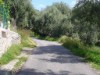 Bilde 48