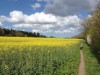 Bild 14