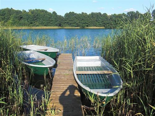 Semesterhus/Semesterlägenhet - 3 personer -  - Carwitzer Straße - 17258 - Feldberger Seenlandschaft