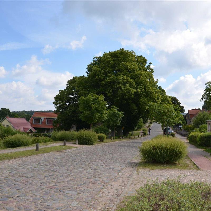 Ferielejlighed - 3 personer -  - Carwitzer Straße - 17258 - Feldberger Seenlandschaft