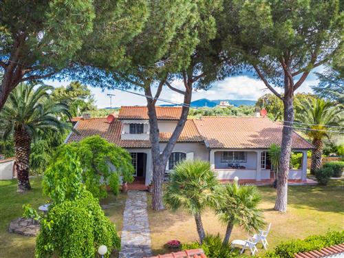 Fritidshus - 12 personer -  - Casale Marittimo - 56040