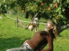 Billede 1
