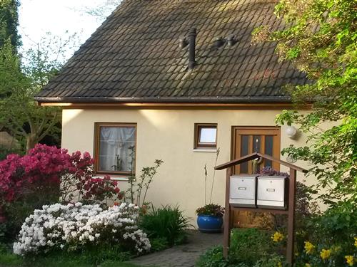 Holiday apartment - 2 persons -  - Mittelgrund - 18375 - Prerow