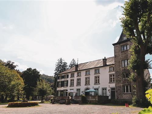 Slott / Borg - 6 personer -  - 4920 - Aywaille