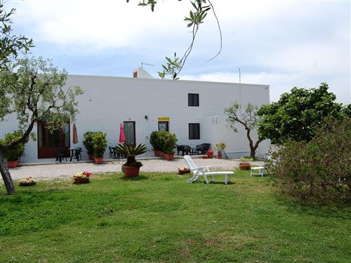 Ferienwohnung - 2 Personen -  - Cisternino - 72014