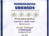 Bild 41