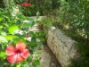 Image 26 - Outside