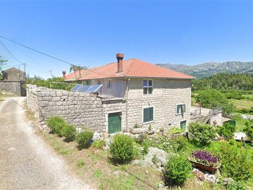 Ferielejlighed - 4 personer -  - Gruda - 20215 - Gruda