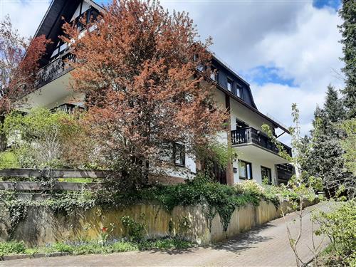 Holiday apartment - 4 persons -  - Höfestraße - 59969 - Hallenberg