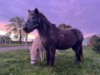 Bild 24