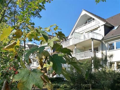 Holiday apartment - 2 persons -  - Zur Hütte - 18279 - Lalendorf