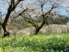 Image 25 - Outside