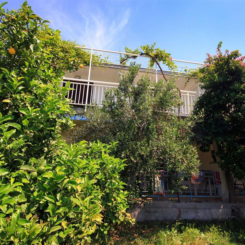 Ferielejlighed - 5 personer -  - Viganj 71A, Viganj - 20267 - Kuciste