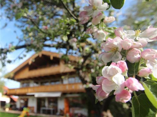 Ferienwohnung - 3 Personen -  - Kurweg - 83727 - Schliersee