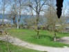 Bilde 8