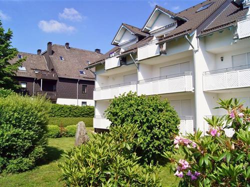 Ferieleilighet - 6 personer -  - 59955 - Winterberg