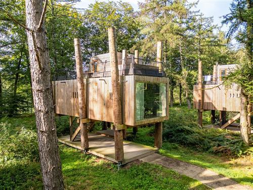 Ferienhaus - 4 Personen -  - 7640 - Antoing