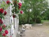 Bilde 17
