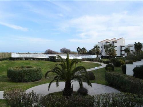 Holiday Home/Apartment - 4 persons -  - 66750 - St Cyprien