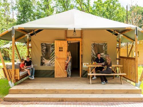 Feriehus - 6 personer -  - 29693 - Hodenhagen