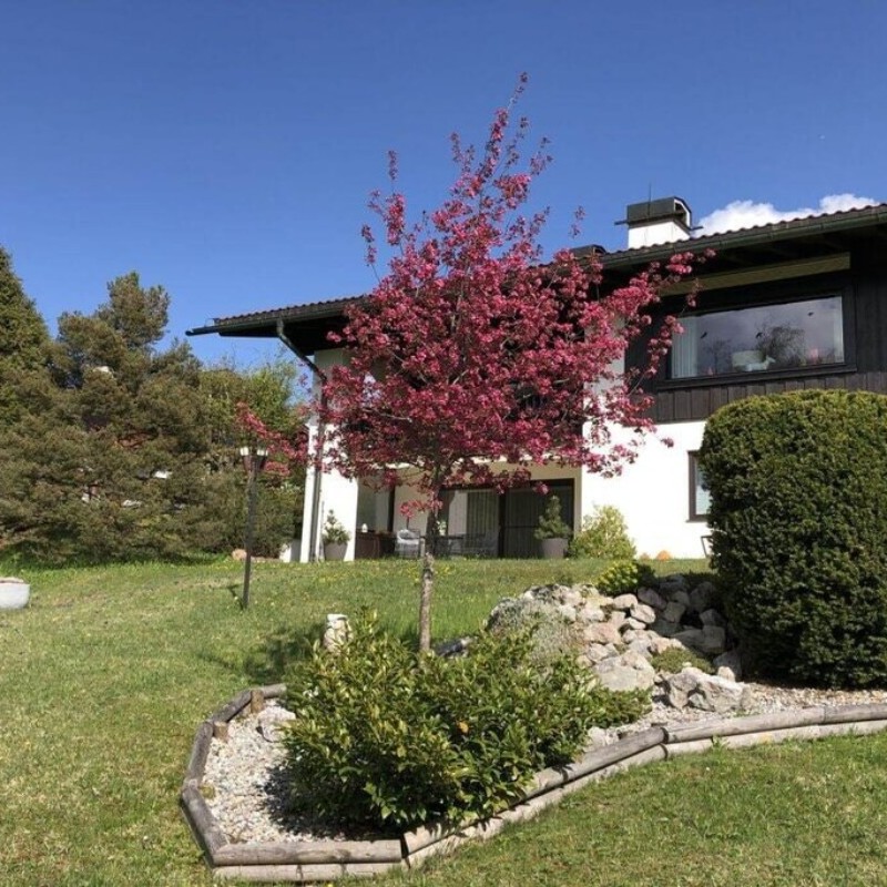 Sommerhus - 3 personer -  - 82494 - Krün