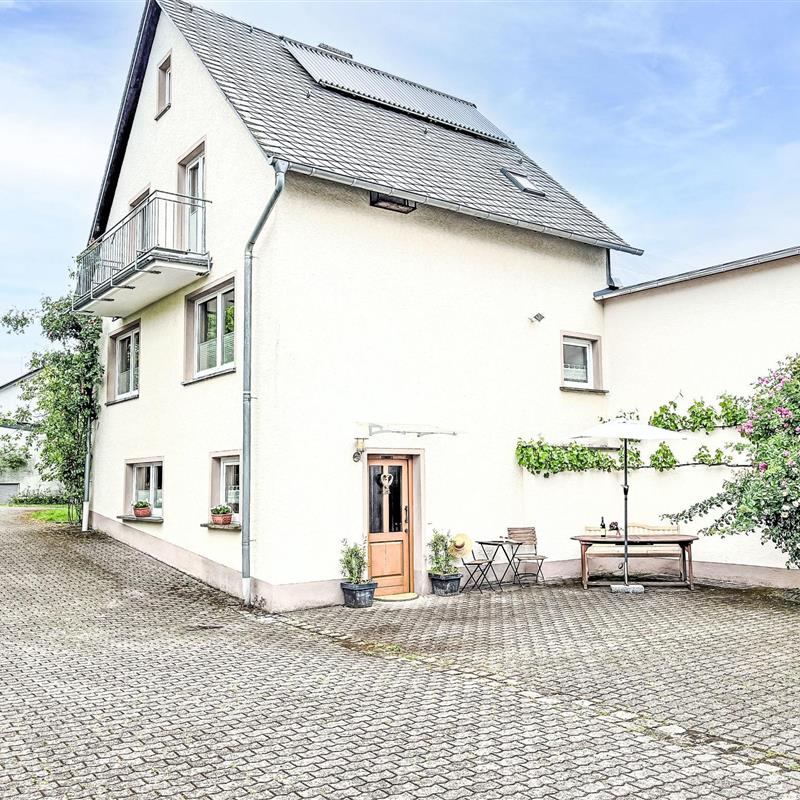 Sommerhus - 6 personer -  - Manderscheid - 54531